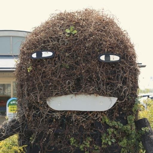 もりぞう