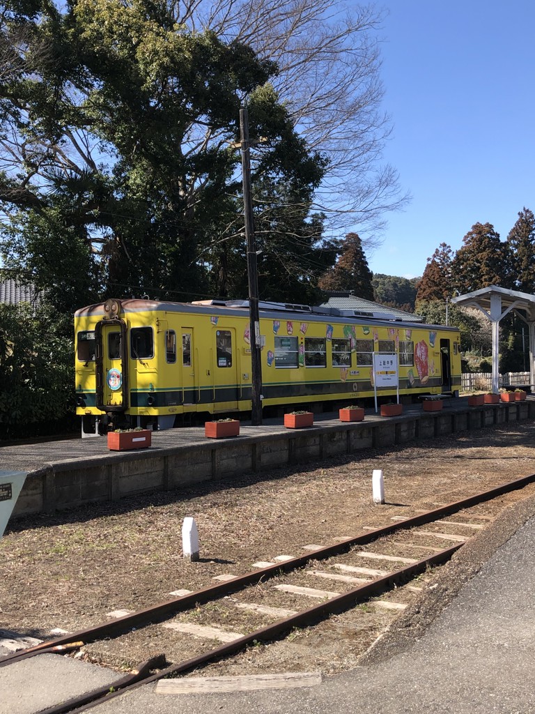 きん