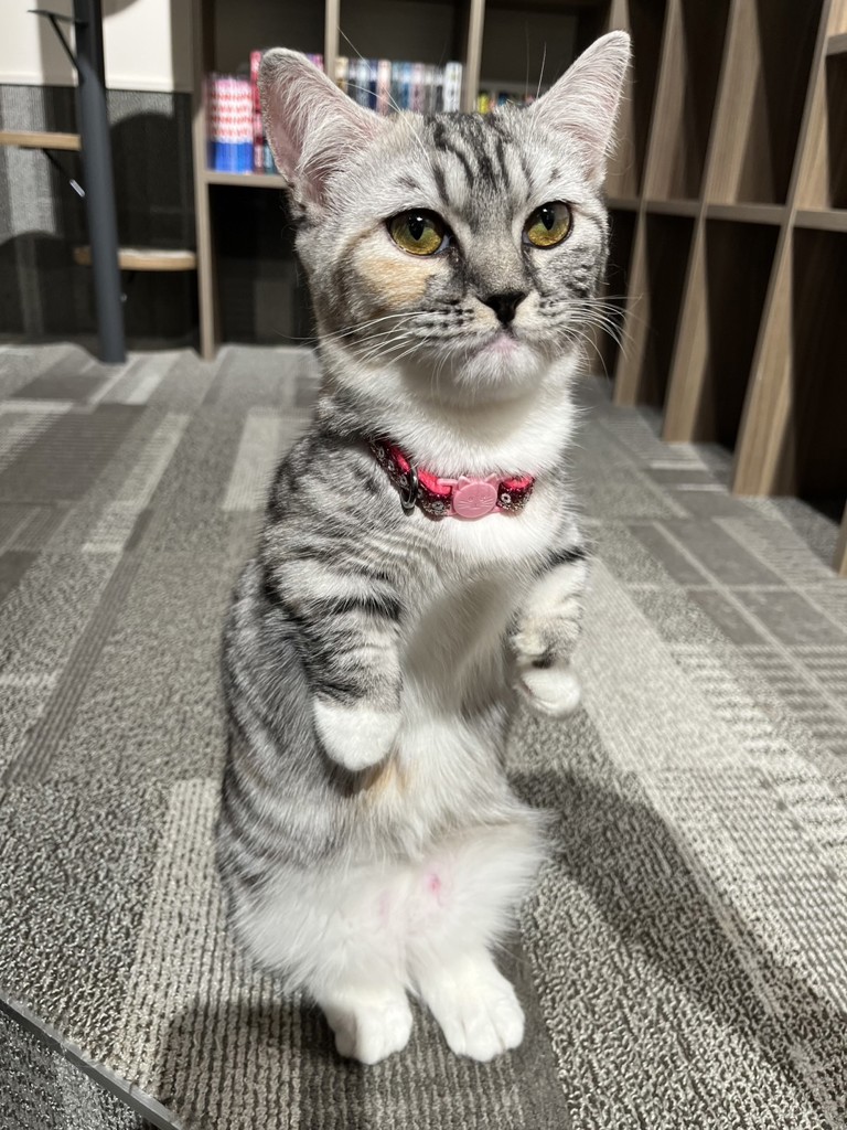 はると