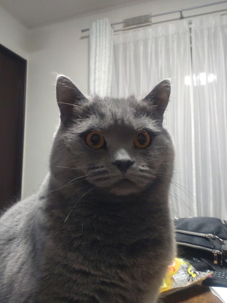 ふぅ