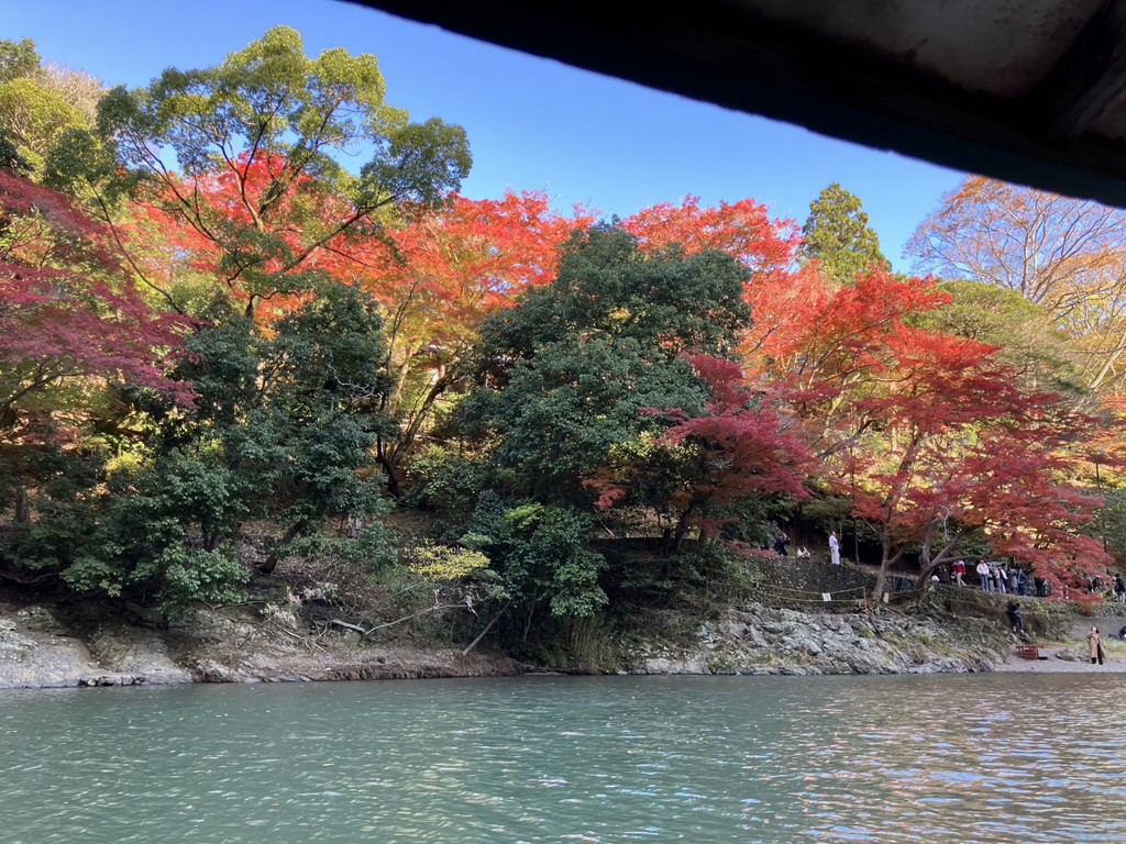 ボチ