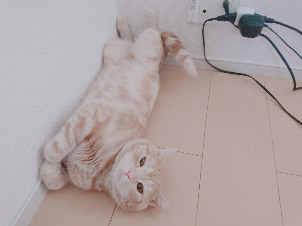ty