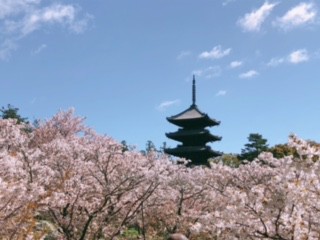 ニコニコ