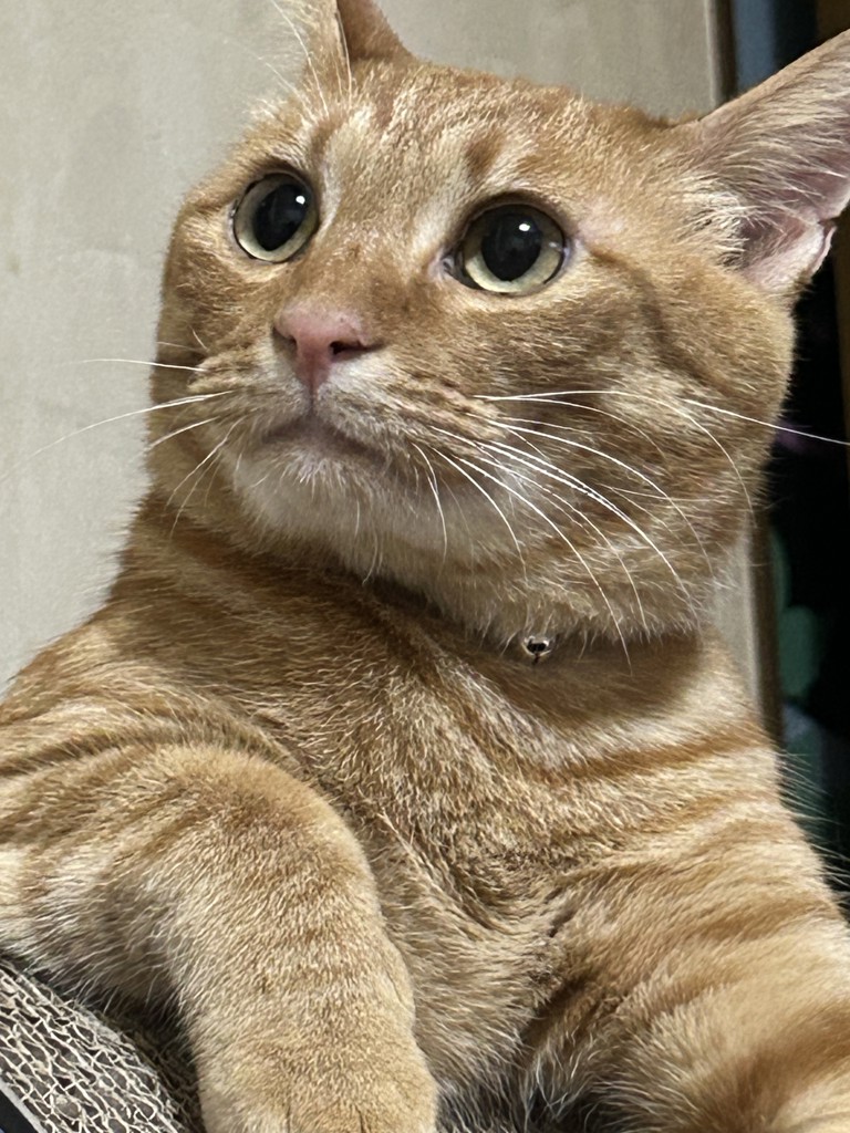 うに