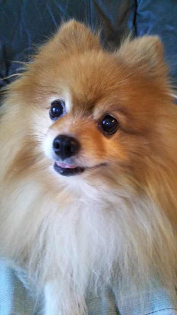 ユーザーアイコン