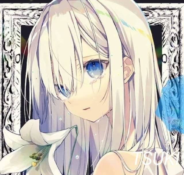 Little Flower 