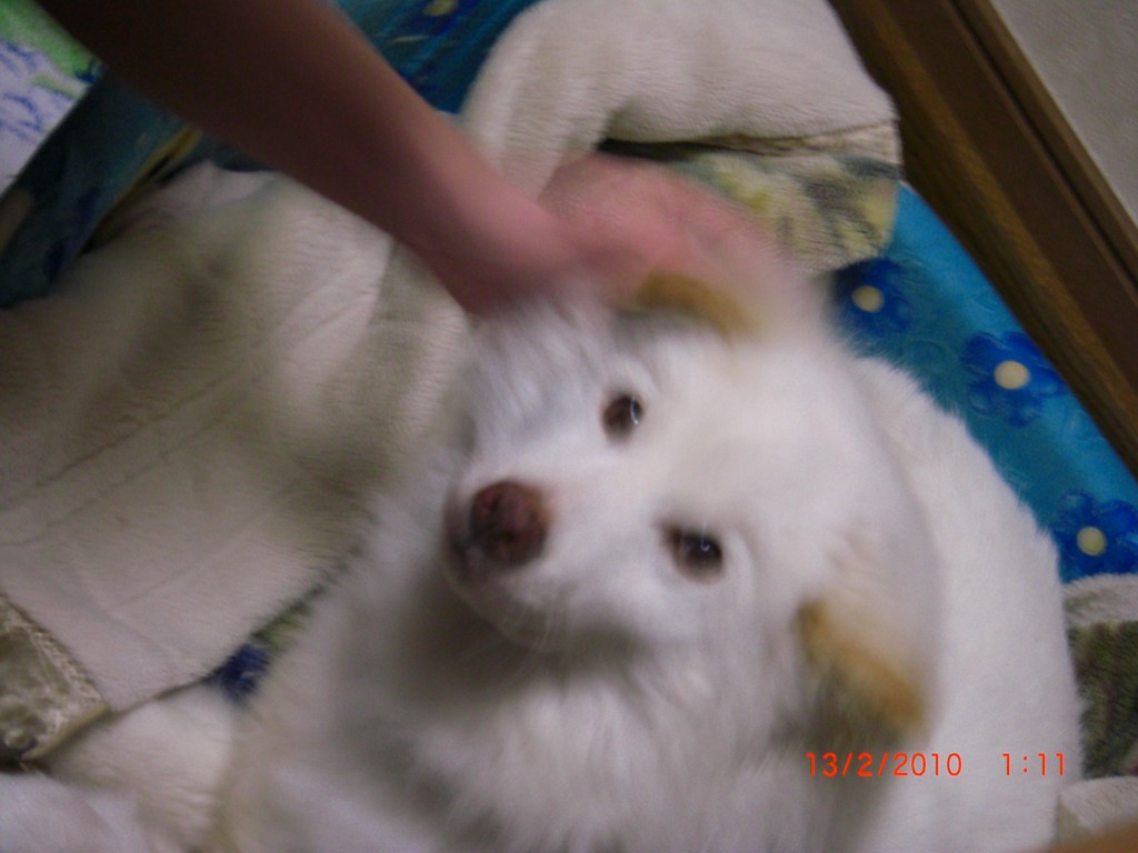 qqynf