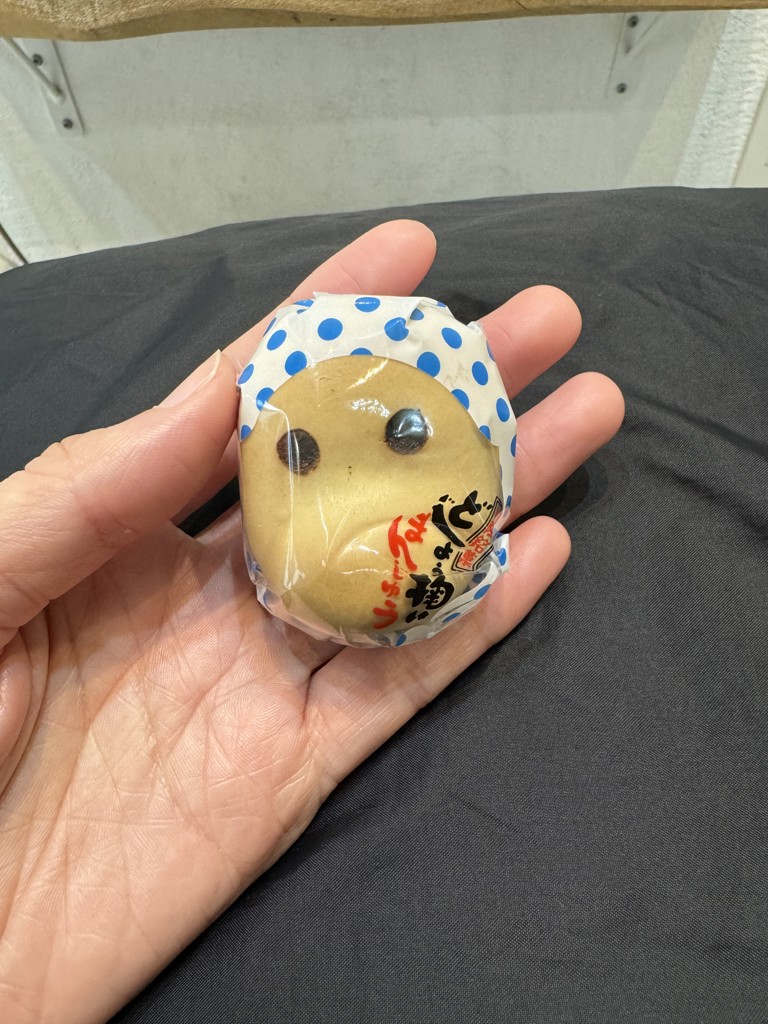 manixi