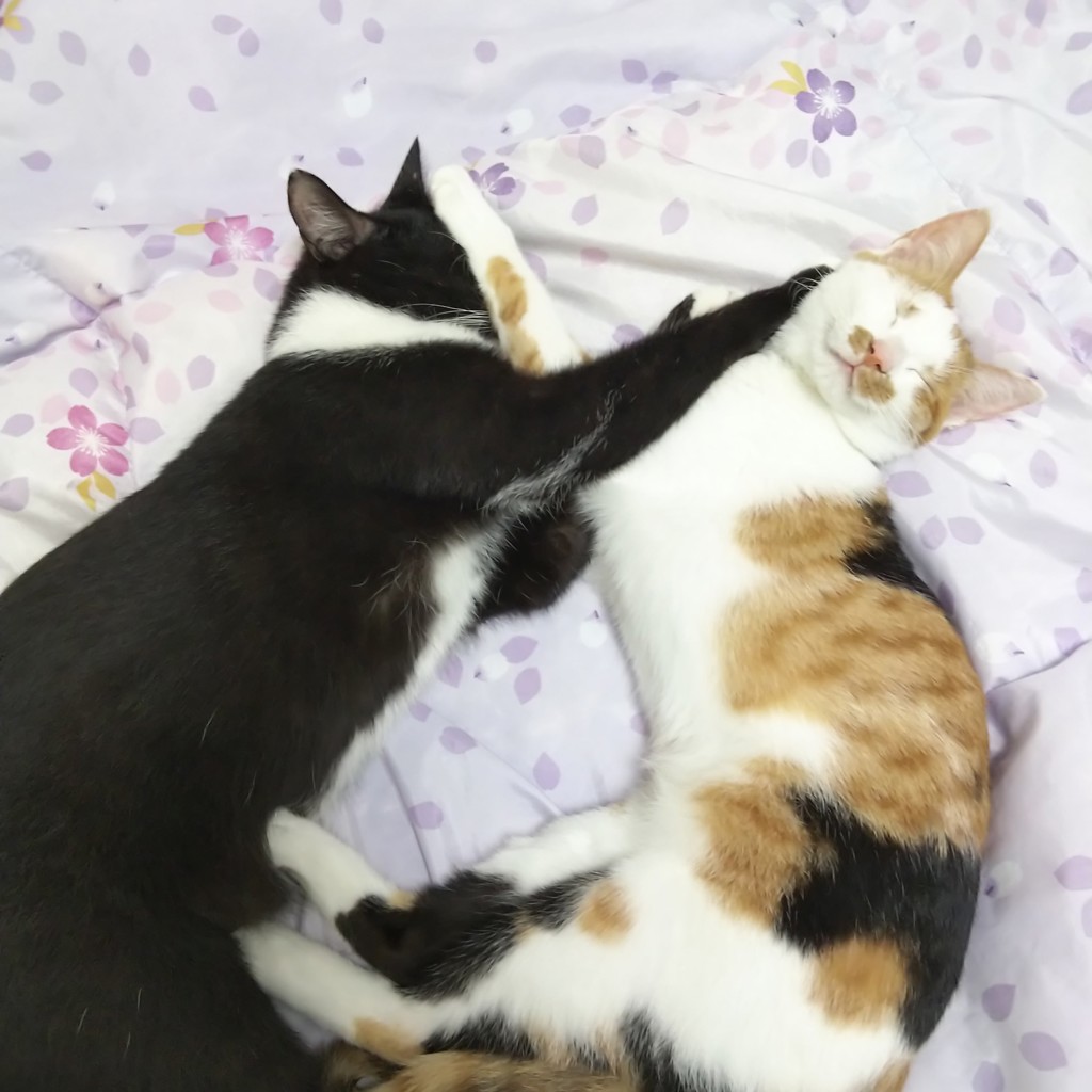 もみじ&ぎん
