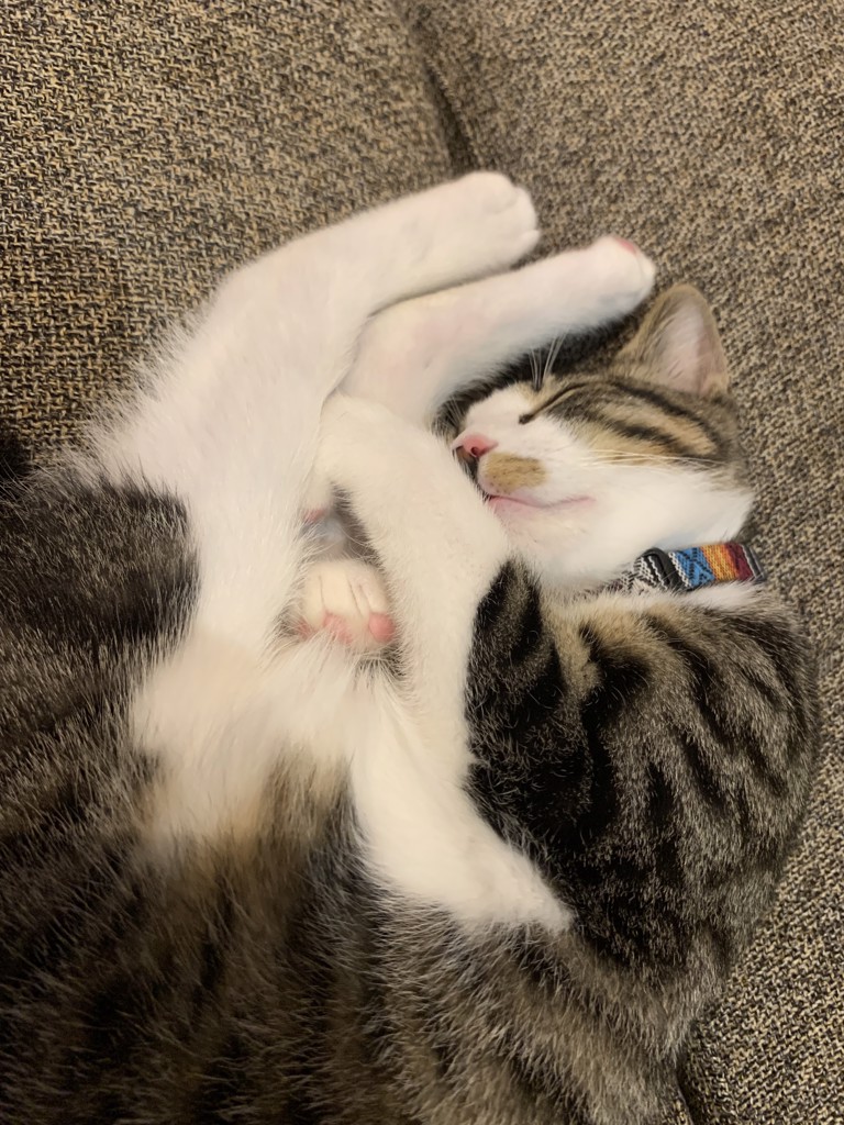 まめ