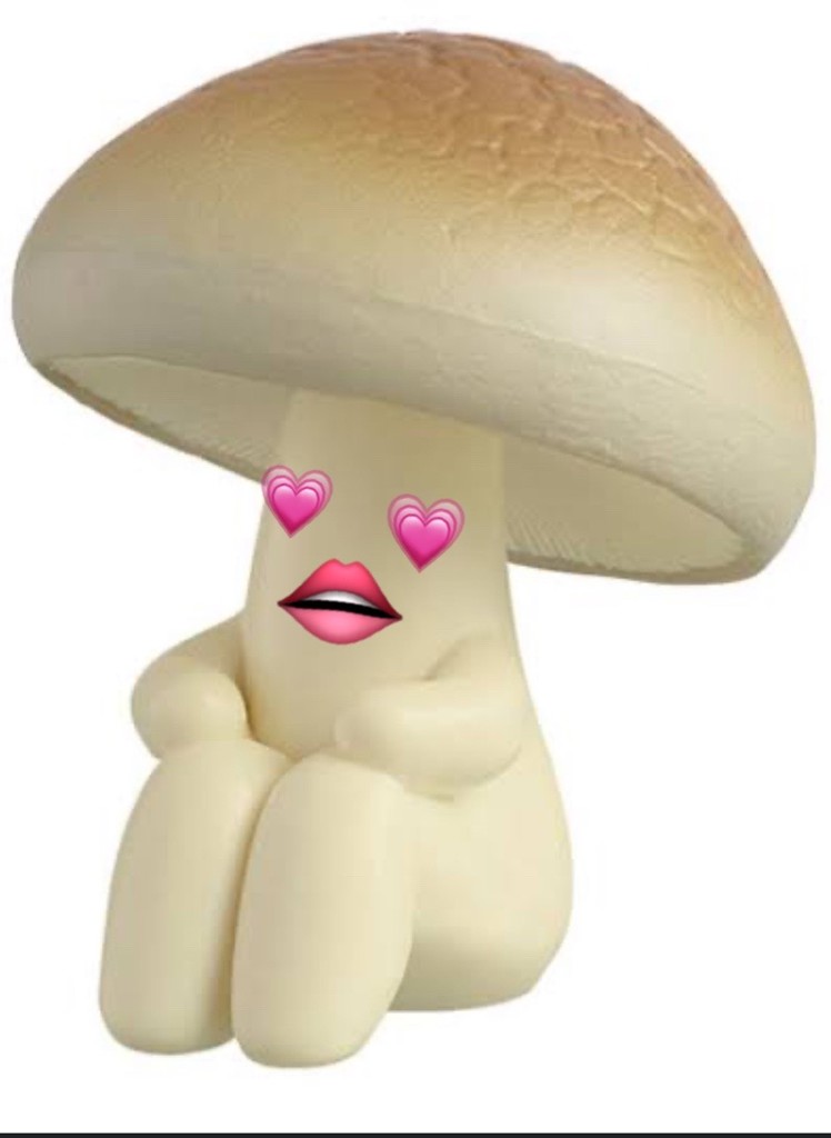 きのこ