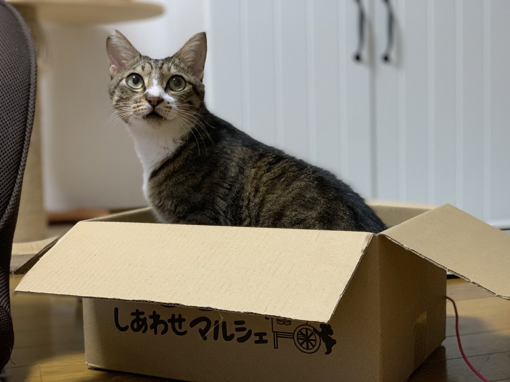 閣下の手下