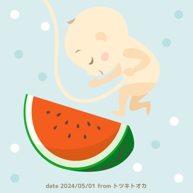 んちゃん
