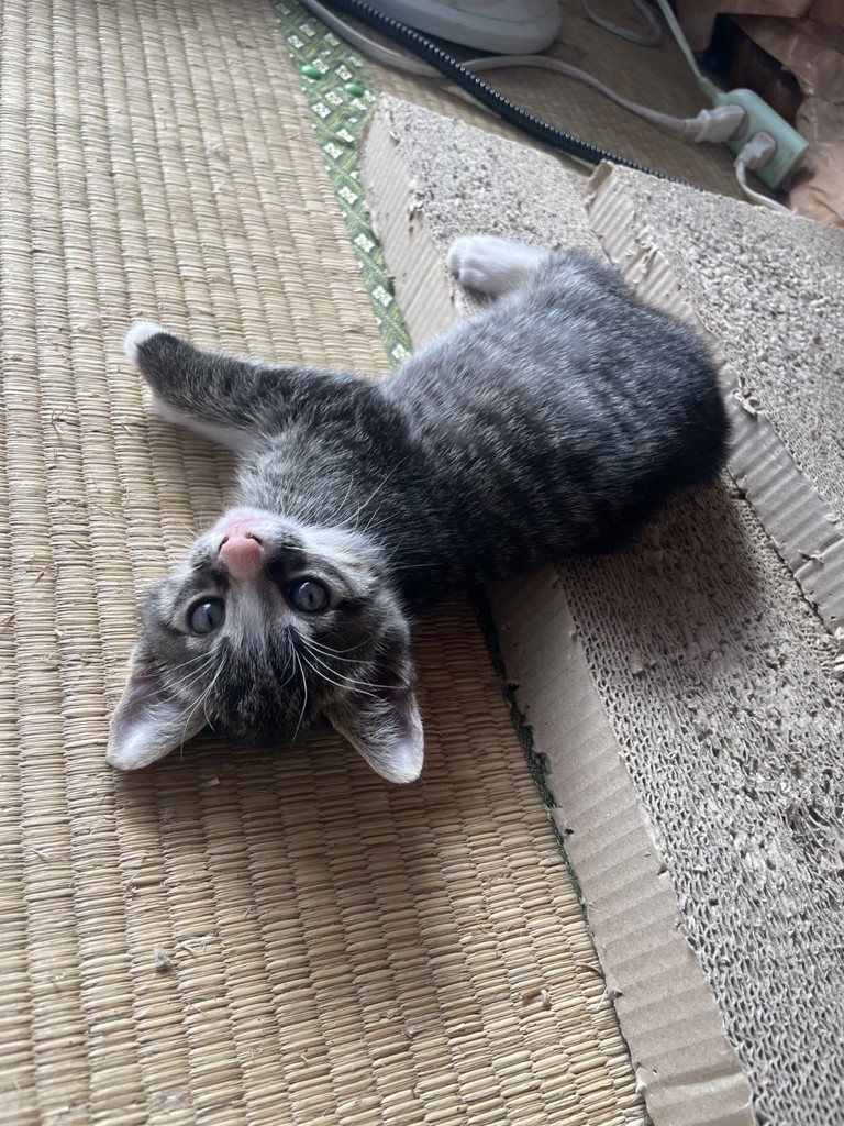 ゆりぴ