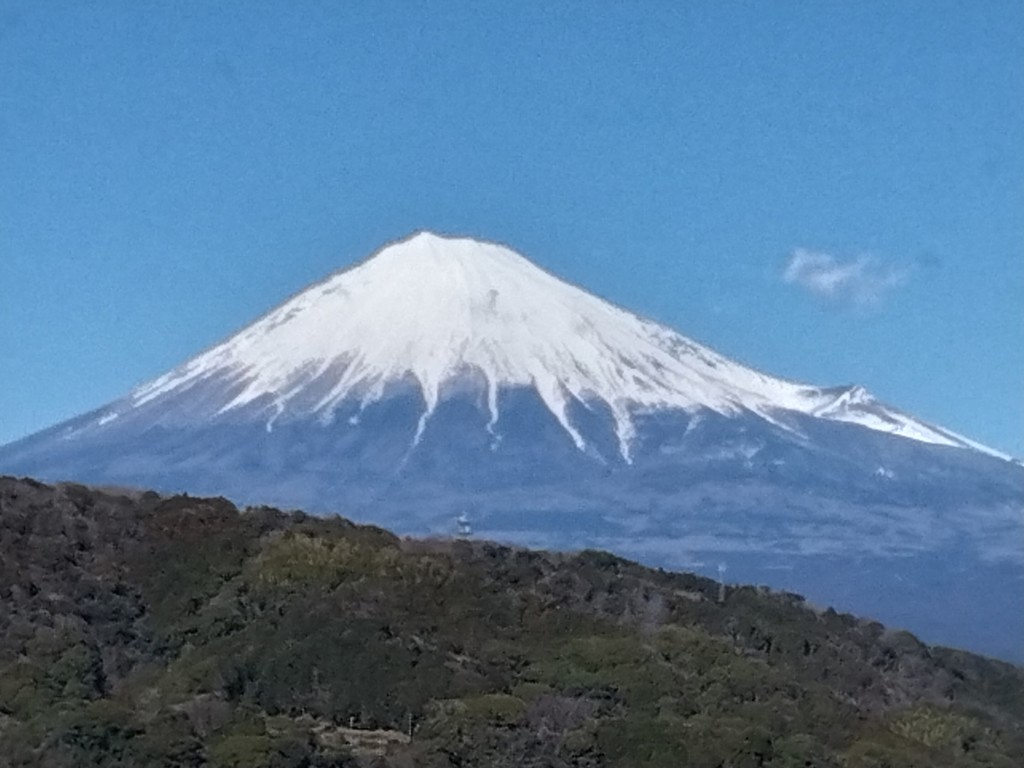 ユーザーアイコン