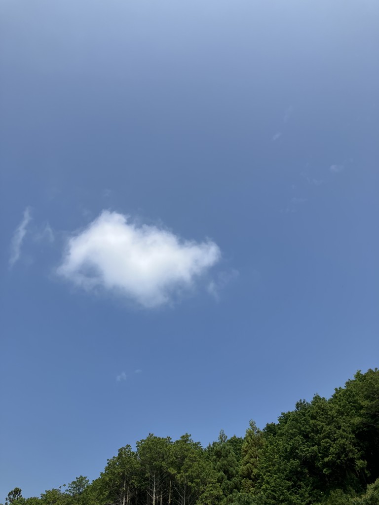 ユーザーアイコン