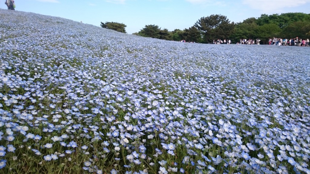 ユーザーアイコン