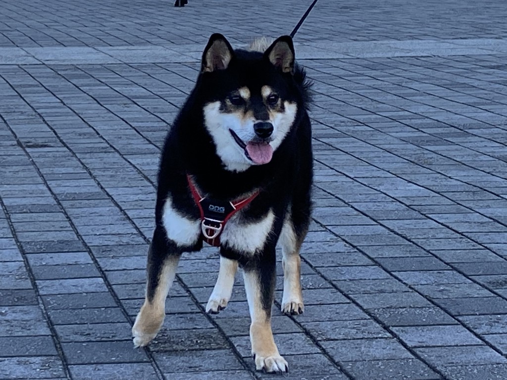 ヒデさん