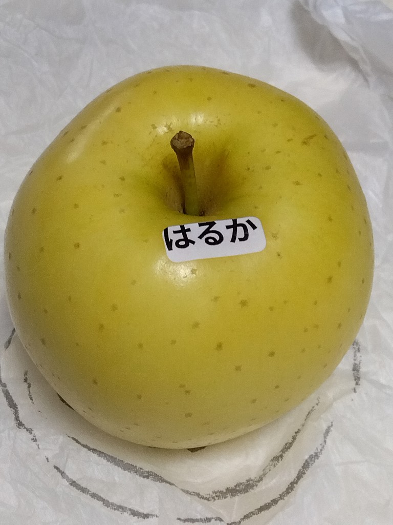 ぽっちゃん