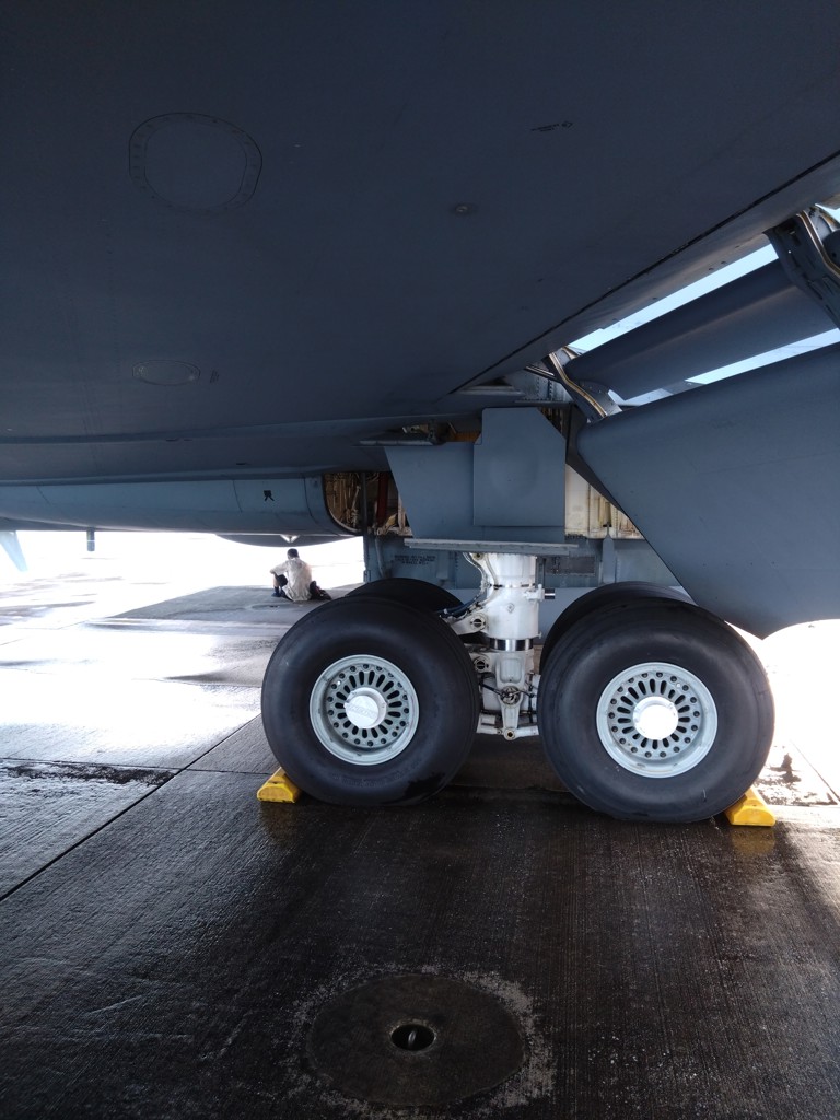 ドルゴルスレンジャパン