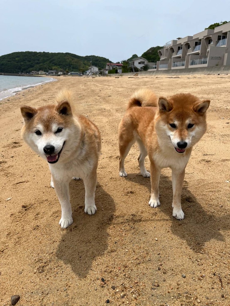 no name