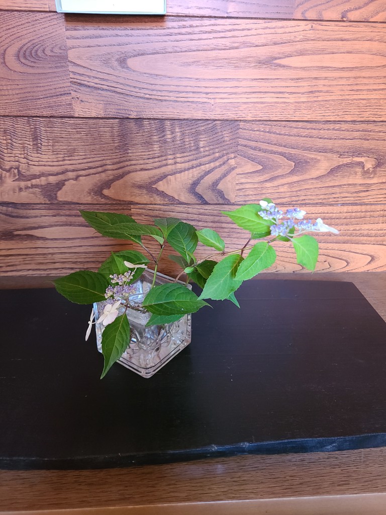 はちこ