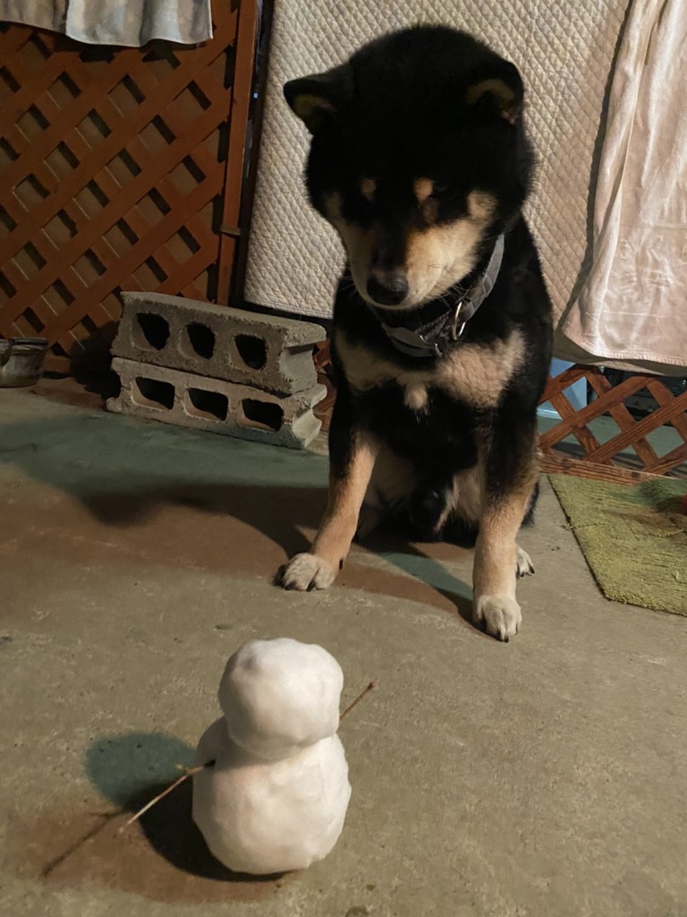 ユーザーアイコン