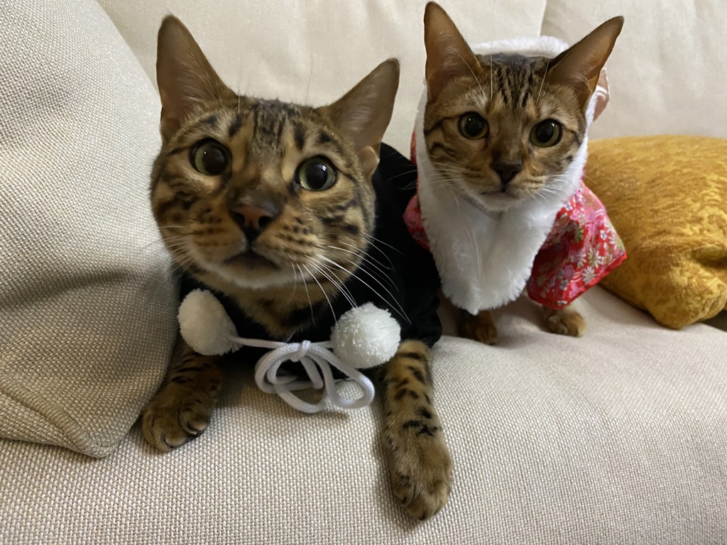 no name