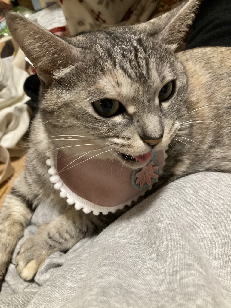寧々