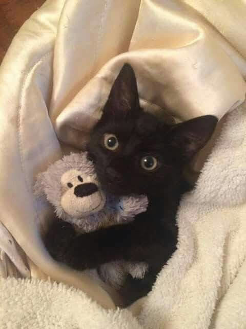 no name