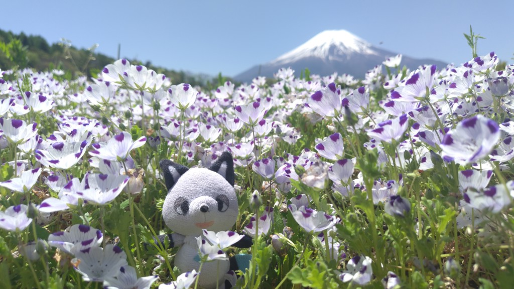 ユーザーアイコン
