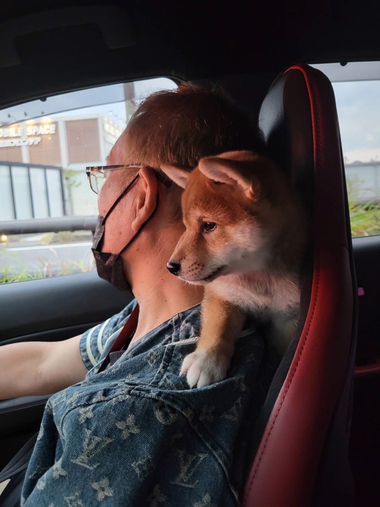 ヒナ