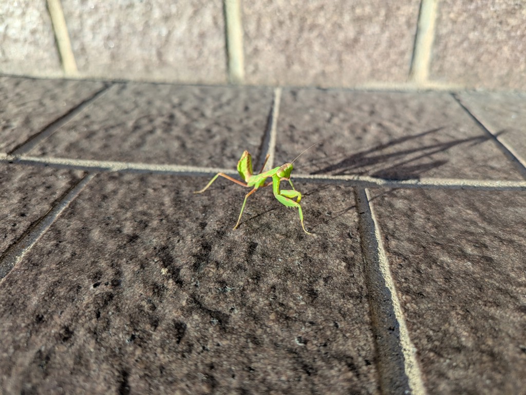 ユーザーアイコン