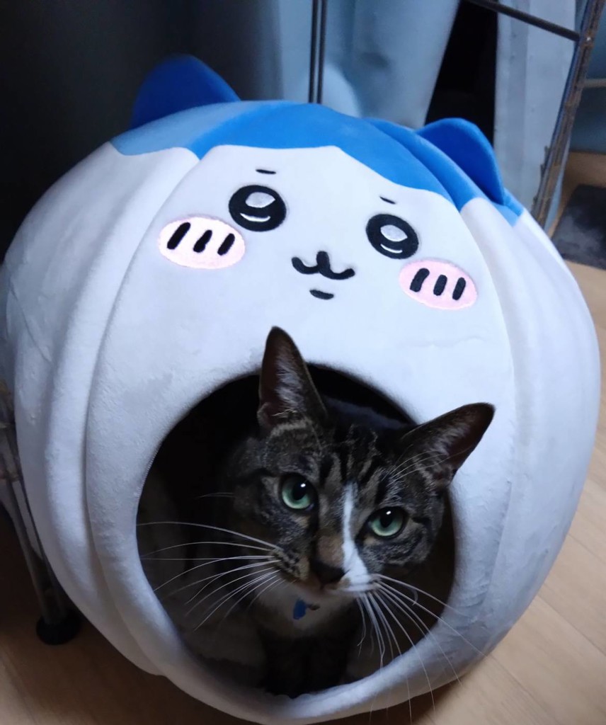 ユウコ