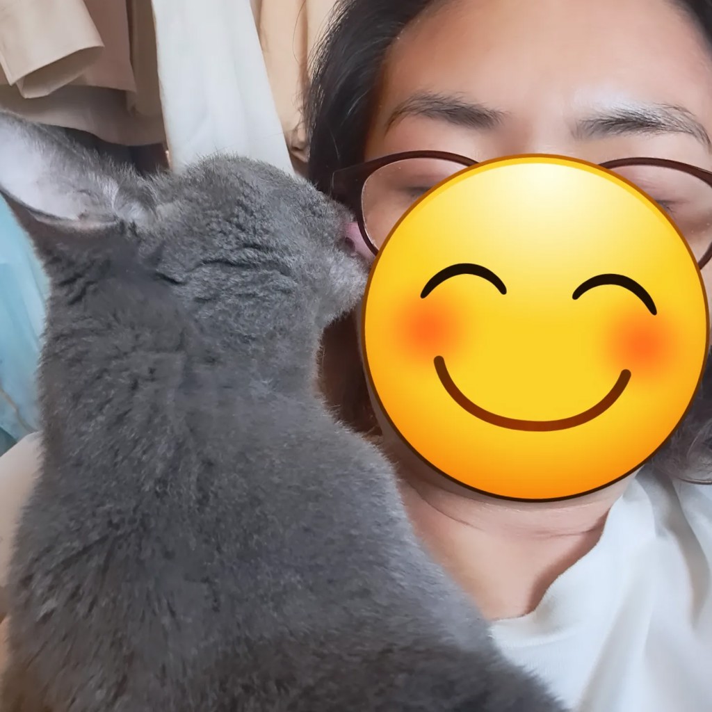 ナッツ