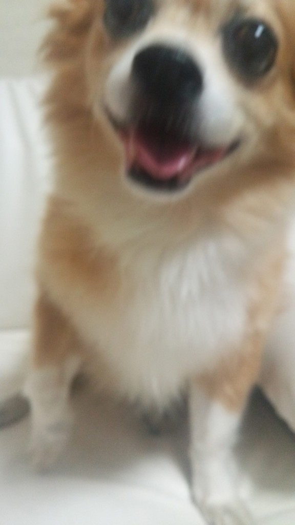 クラ
