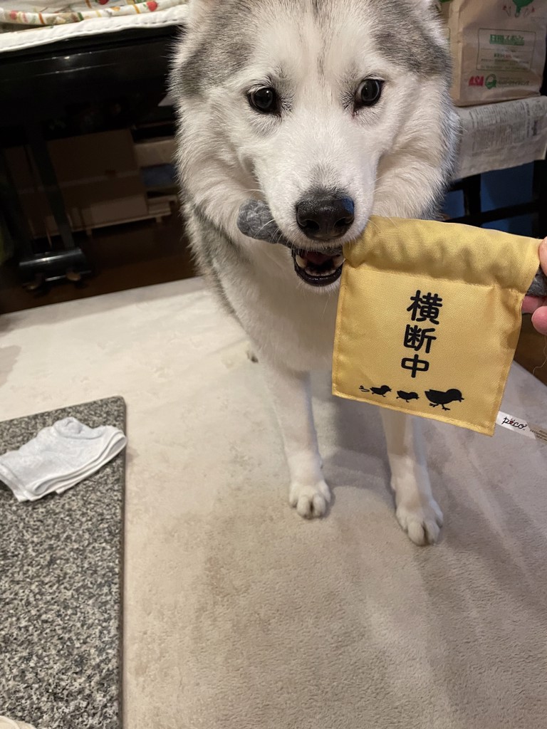 ユーザーアイコン