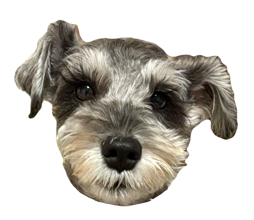 SUKALA】SUKALAエッセンシャルバーム(ミニーマウス): 美容・健康LAVA