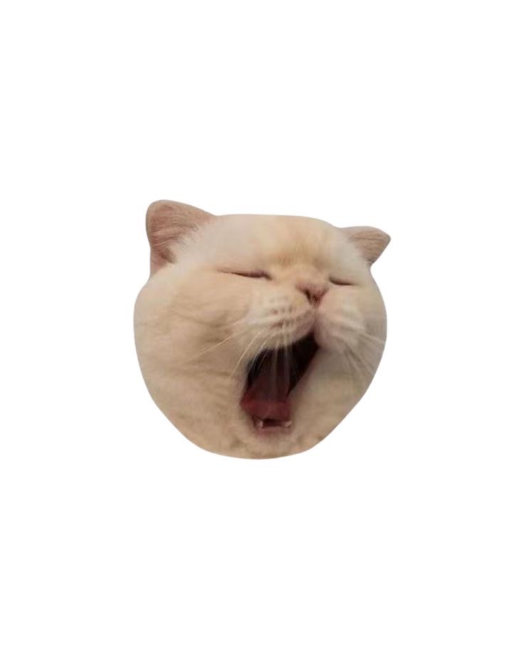 めかぶ