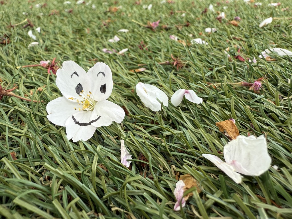 ちいたん