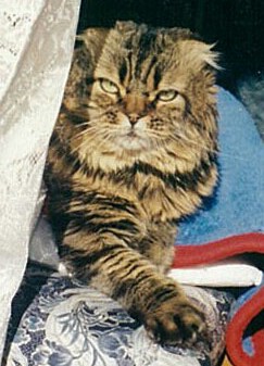 Panagon