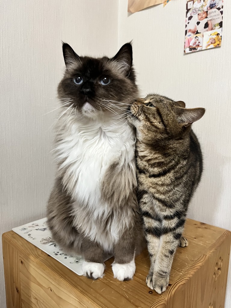 むんた