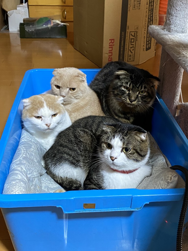 ユーザーアイコン