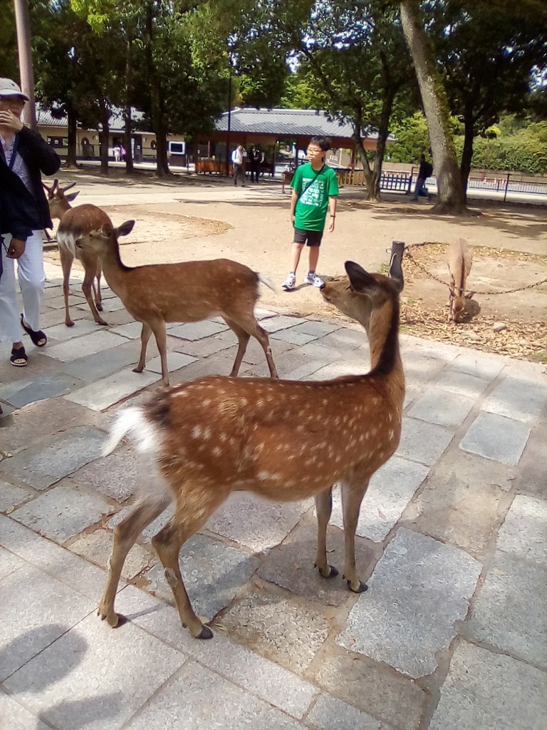 ぱむ