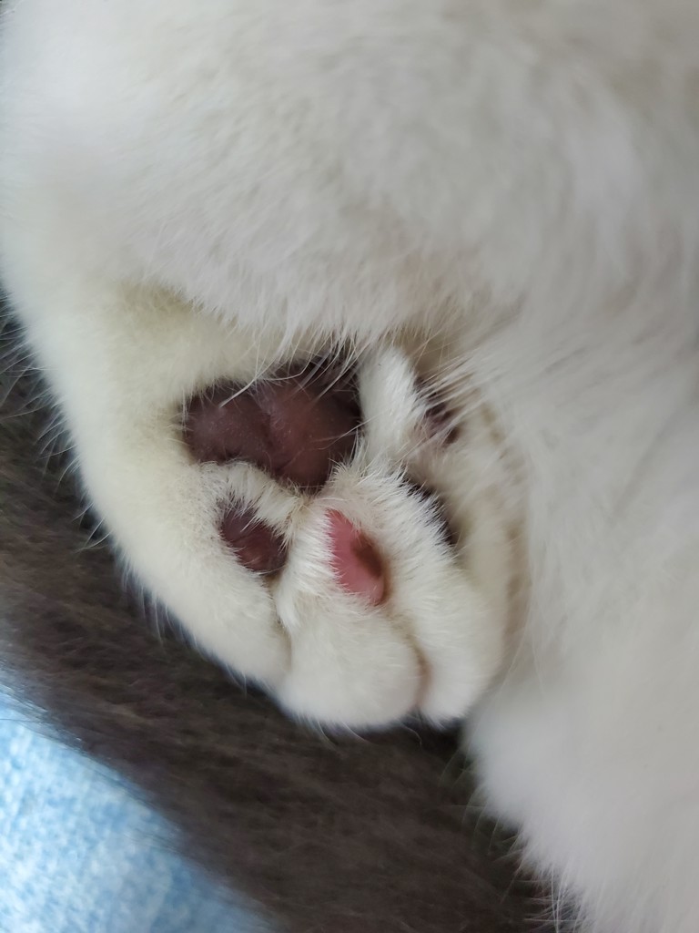 ユーザーアイコン