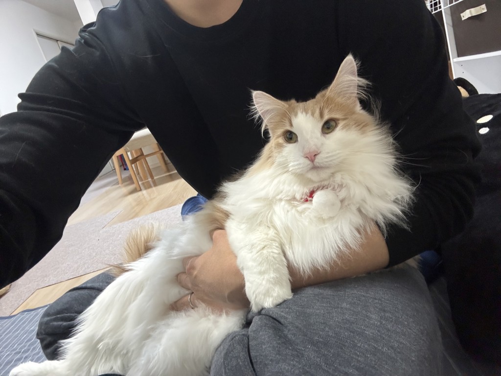 らいたろー