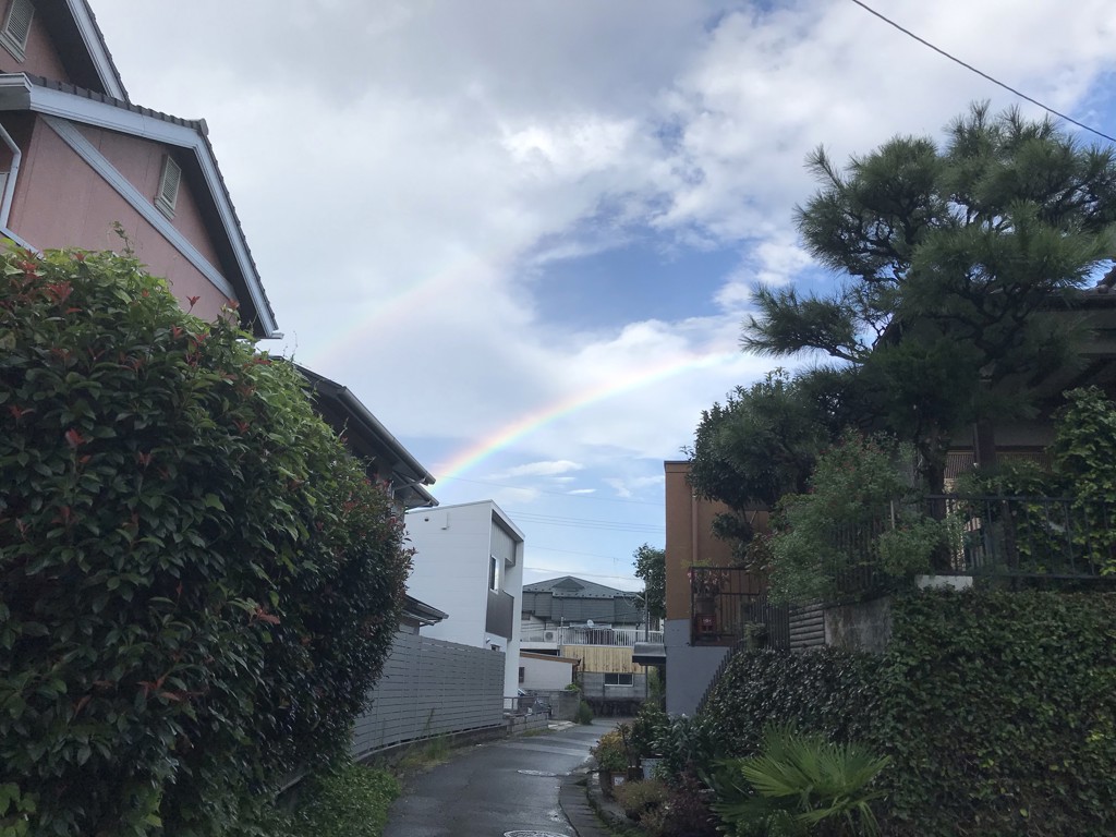果物大好き