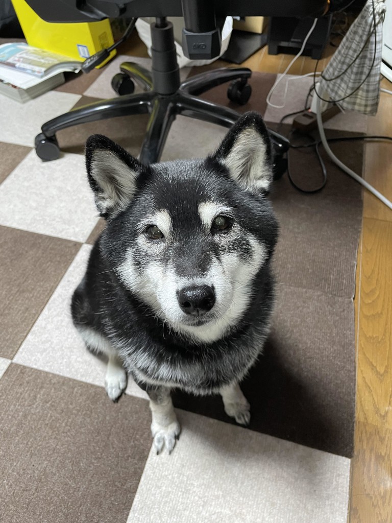 まひろ