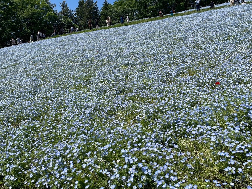 84