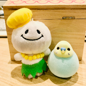 スタッフ名